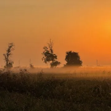 Recensione iPhone 15 Pro e iPhone 15 Pro Max, il migliore per forza