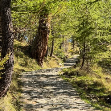 Recensione iPhone 15 Pro e iPhone 15 Pro Max