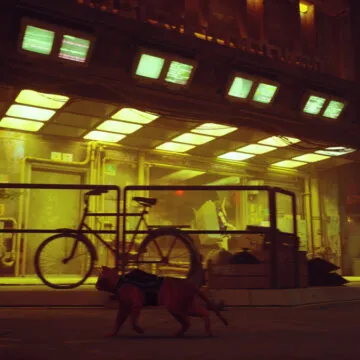 Il gioco Stray per Mac arriva il 5 dicembre