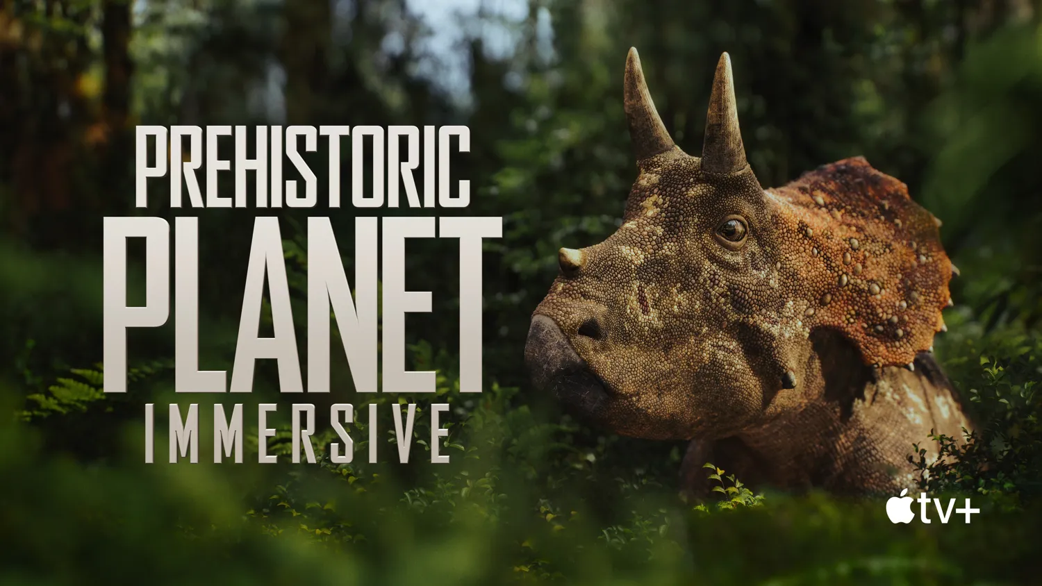 Per Apple il Vision Pro diventerà il dispositivo di intrattenimento per eccellenza Per Apple il Vision Pro diventerà il dispositivo di intrattenimento per eccellenza