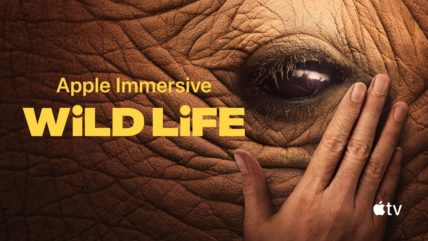 Per Apple il Vision Pro diventerà il dispositivo di intrattenimento per eccellenza Per Apple il Vision Pro diventerà il dispositivo di intrattenimento per eccellenza