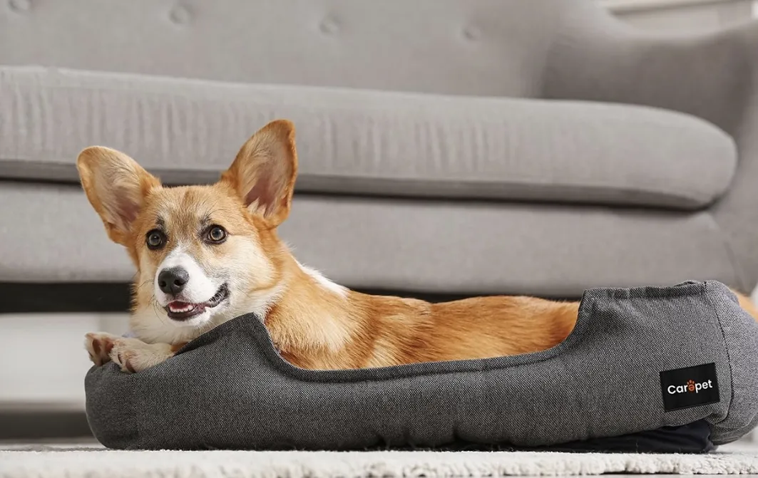 Le startup italiane al CES 2024