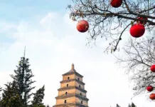 Tesla e Cybertruck dominano il podio delle elettriche USA Cybetruck fa innamorare la Cina, tutti in fila per vederlo