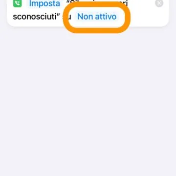 Stop chiamate dagli sconosciuti su iPhone, come impostare le fasce orarie