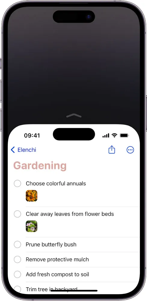 Come usare iPhone con una sola mano