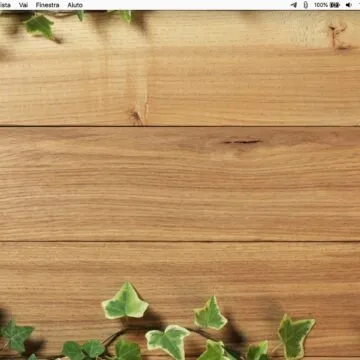 Come trasformare le web-app in applicazioni native per Mac