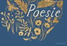 I migliori libri di poesie per l’estate copertina libro poesie emily dickson mondatori