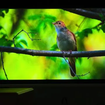 Recensione XGIMI ULTRA PRO