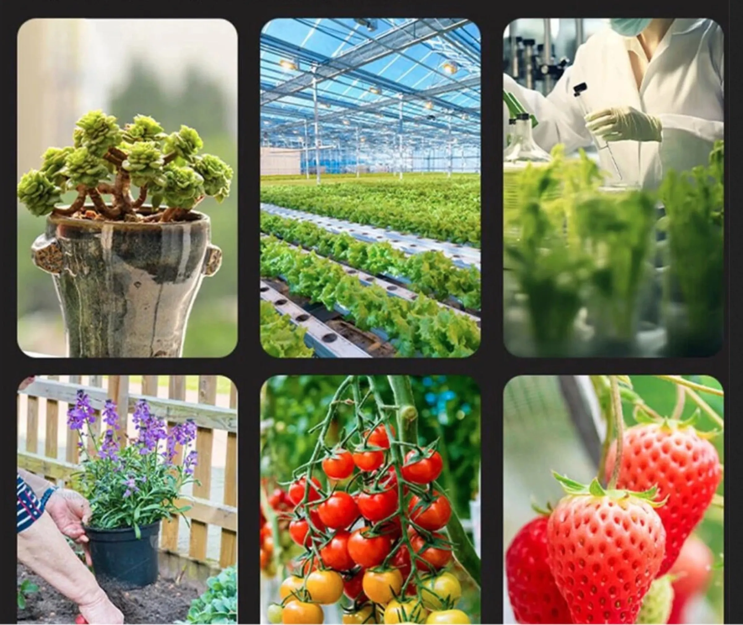 Tester digitale per giardinieri, anche senza pollice verde Tester digitale per giardinieri, anche senza pollice verde