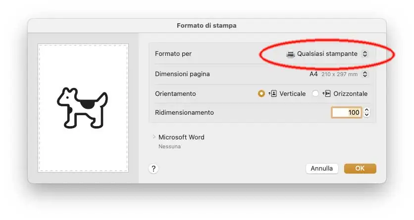 Come risolvere problemi con le stampanti Epson dopo aggiornamento a macOS Sequoia - macitynet.it Esempio di finestra Formato di Stampa
