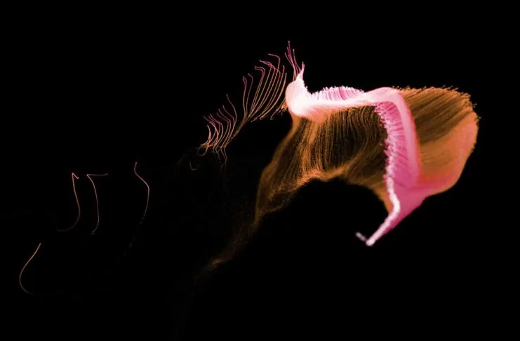 Eclipsa Audio, da Samsung e Google il formato audio spaziale alternativo al Dolby Atmos - macitynet.it