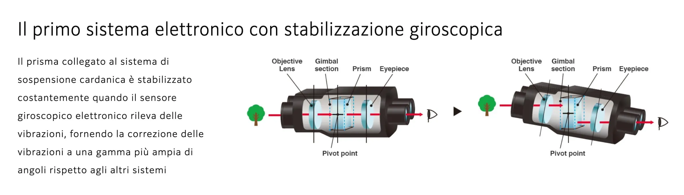 macitynet.it macitynet.it