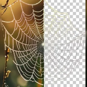 Aiarty Image Matting rimuove gli sfondi ovunque con AI - macitynet.it