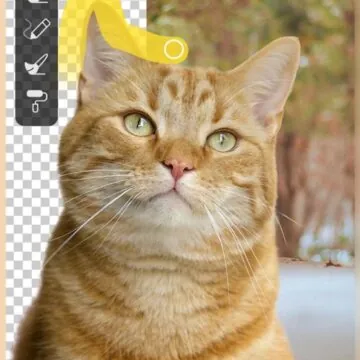 Aiarty Image Matting rimuove gli sfondi ovunque con AI - macitynet.it