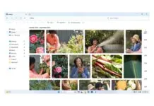 Windows 11, dal File Explorer spariranno alcune funzioni in nome della privacy Windows 11, dal File Explorer spariranno alcune funzioni in nome della privacy - macitynet.it