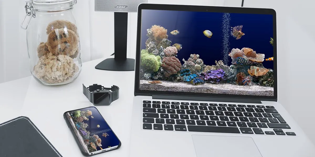 SereneScreen Marine Aquarium, il salvaschermo con i pesci ha 25 anni - macitynet.it