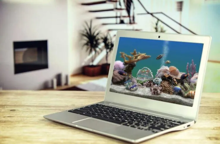 Foto dal sito Serenescreen.com