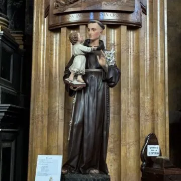 iPhone 16e, comprarlo o no è una questione di intelligenza - macitynet.it