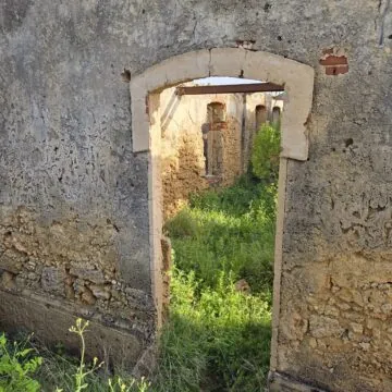 Recensione Samsung Galaxy S25, tra i migliori top maneggevoli - macitynet.it