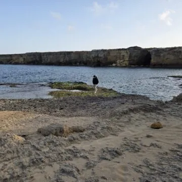 Recensione Samsung Galaxy S25, tra i migliori top maneggevoli - macitynet.it