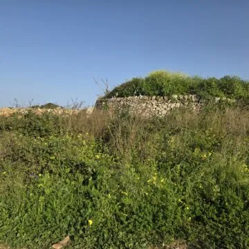 Recensione Samsung Galaxy S25, tra i migliori top maneggevoli - macitynet.it