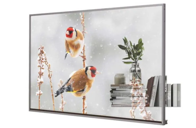 LG, in Italia la TV trasparente  OLED Signage da 55