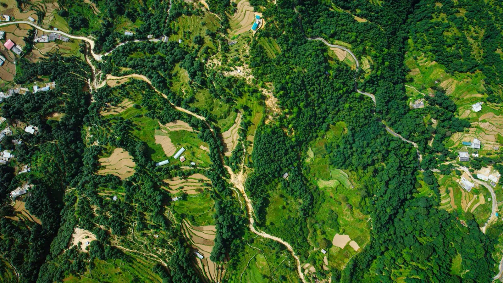 macOS 26 Tahoe, 15 nuovi salvaschermo e sfondi - macitynet.it