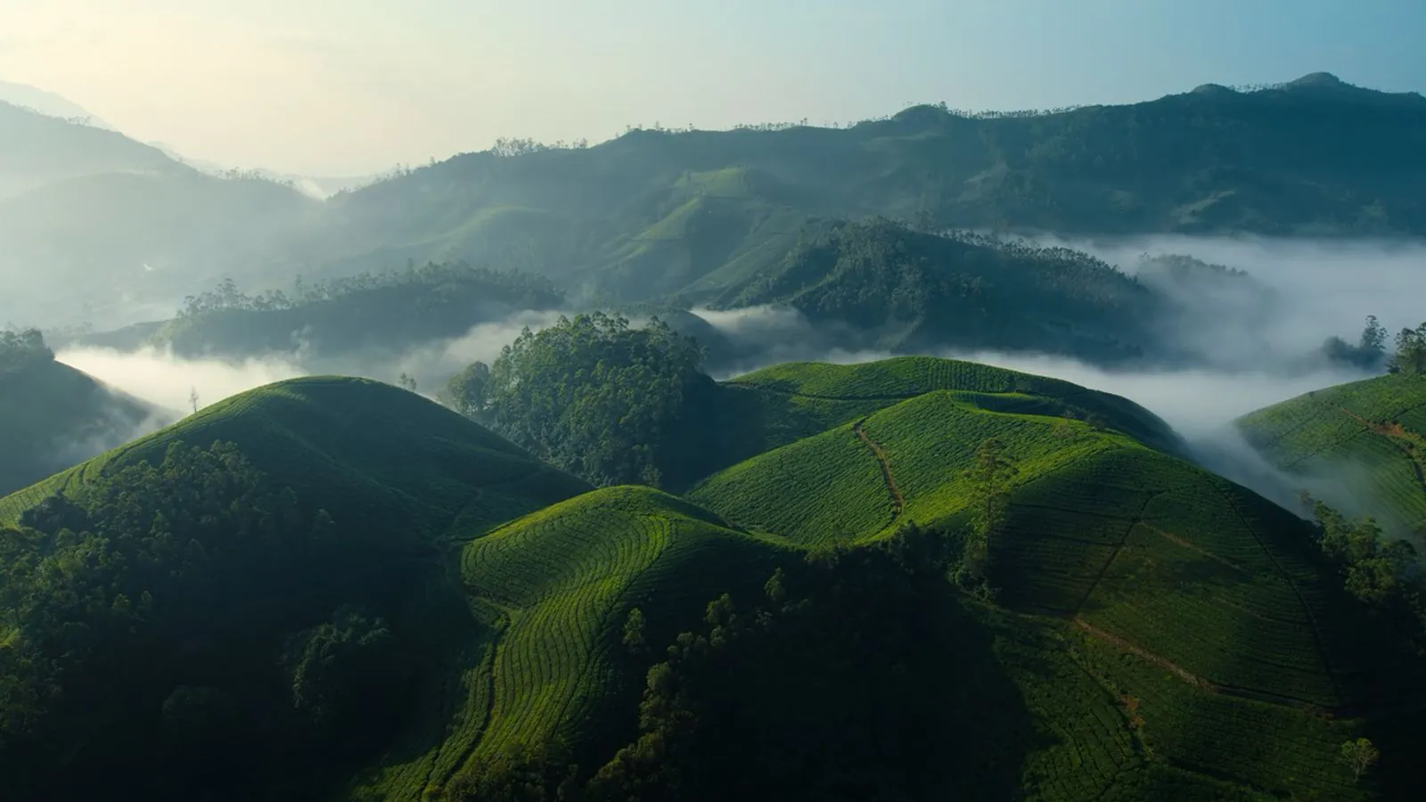 macOS 26 Tahoe, 15 nuovi salvaschermo e sfondi - macitynet.it