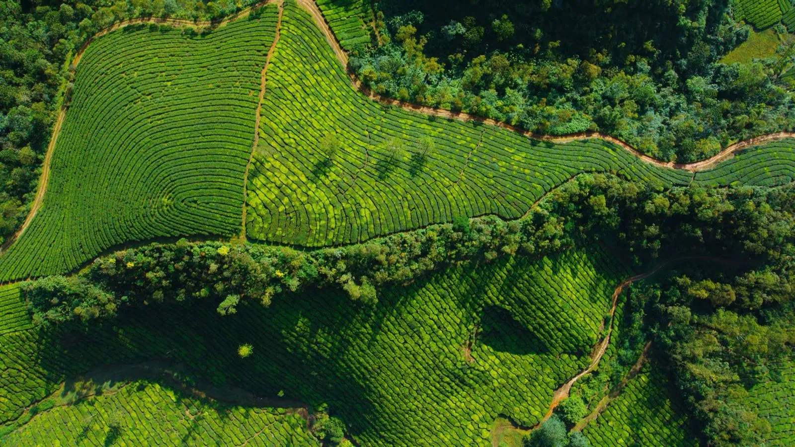 macOS 26 Tahoe, 15 nuovi salvaschermo e sfondi - macitynet.it