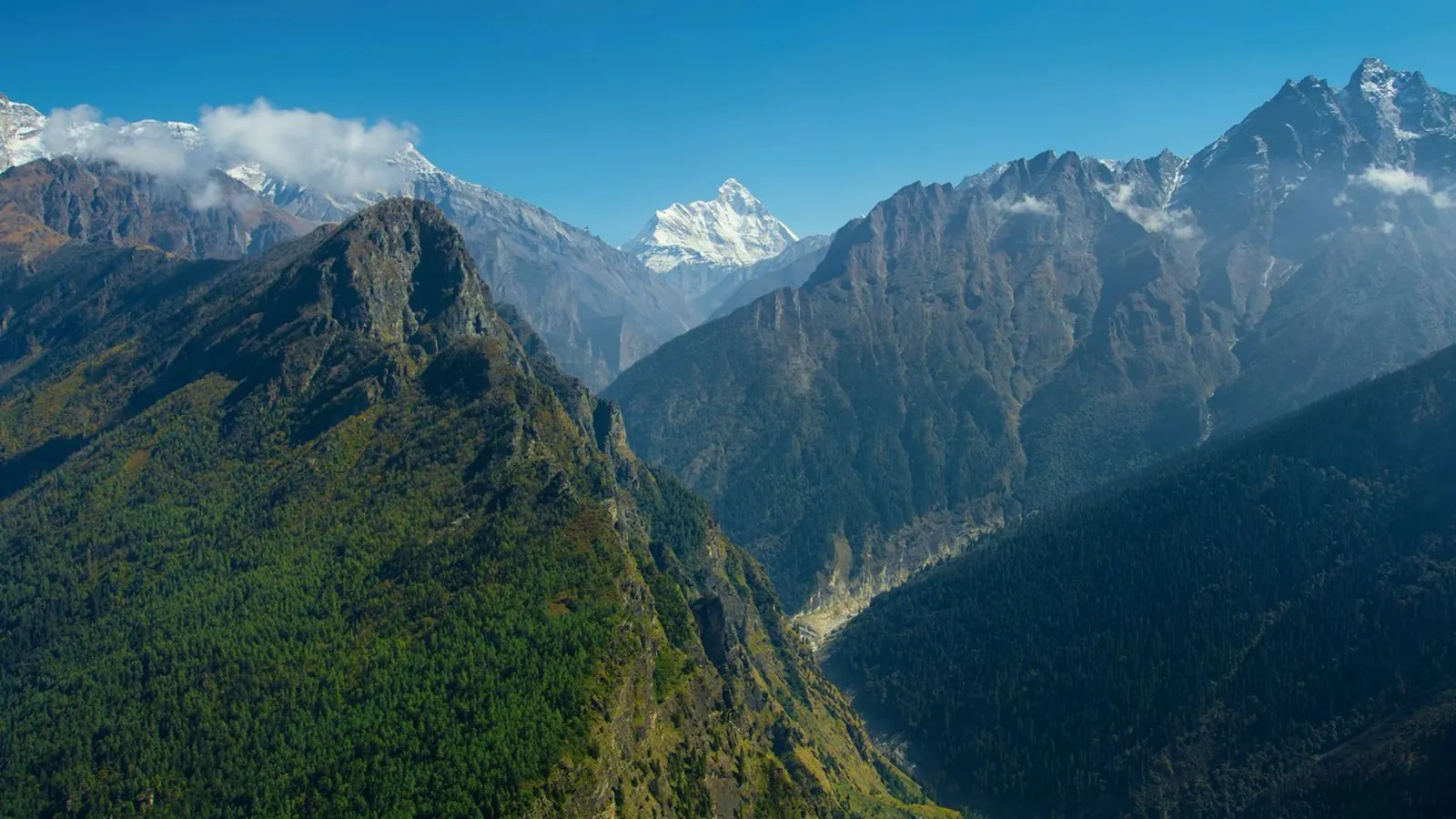 macOS 26 Tahoe, 15 nuovi salvaschermo e sfondi - macitynet.it