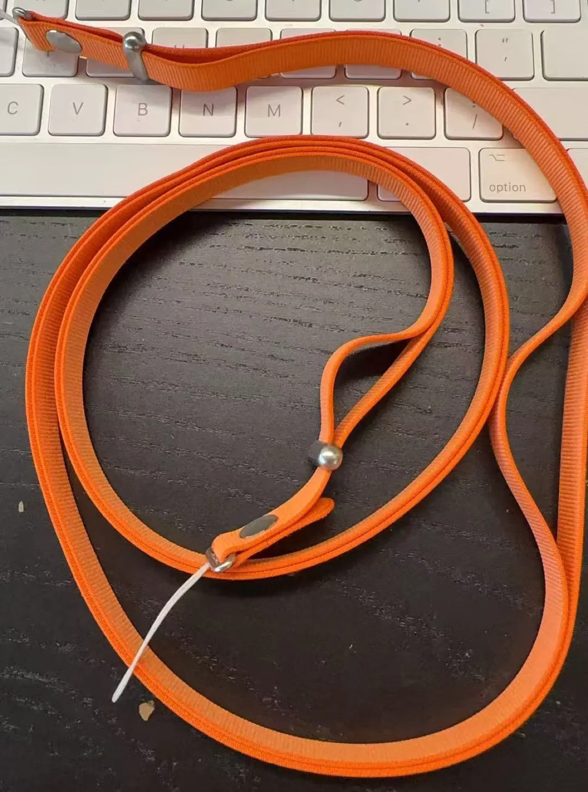 Apple, il laccio a tracolla per gli iPhone 17 appare in foto - macitynet.it